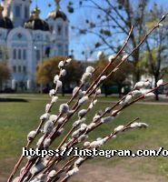 Центр краси Оксани Курової фото