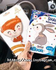 Mr. Balloon, повітряні кульки фото