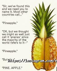 English Studio, школа англійської мови фото