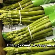 Абажур, ресторан фото