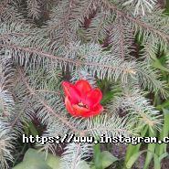 Sky Group, туристичний оператор фото