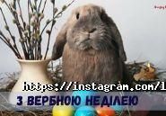 Ларса, салон краси фото