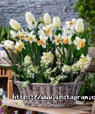 Moda Flora, доставка квітів фото