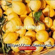 Феромон, фітнес-клуб фото