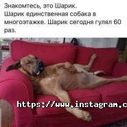 Tours&Tickets, туристична агенція фото