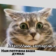 Veliki.ua, салон-магазин велосипедів фото