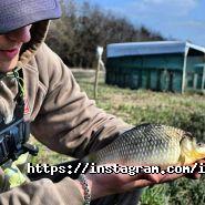 It svit, сервісний центр фото