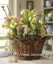 Moda Flora, доставка квітів фото