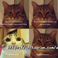 Донець і партнери адвокатське об'єднання фото