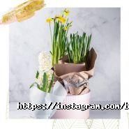 Bloom, квітковий салон фото