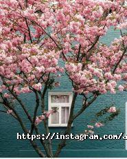 Рішельє, апарт-готель фото