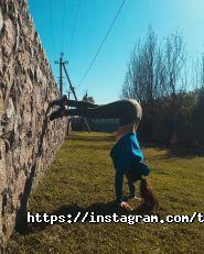 Stretching studio Katrin Trushkina, студія розтяжки фото