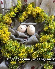 StarFruit, їстівні букети фото