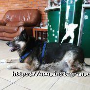 Doktor Zoo, ветеринарна клініка фото