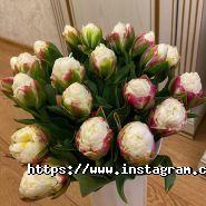 Оптроз, оптова база квітів фото