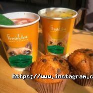 FreshLine, мережа сендвіч-кафе фото