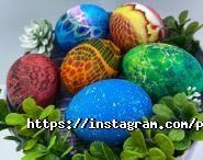 Nails studio Pro, школа-студія фото