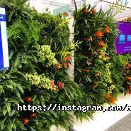 Le Green, студія ландшафтного дизайну фото