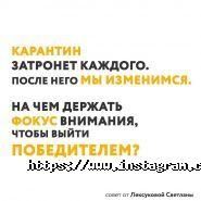 Slon, мережа агентств нерухомості фото