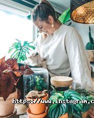 Nimbus.Work, кадрове агентство фото