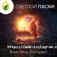 Agrolife, садово-городний інтернет-магазин фото