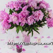 Lash room, студія нарощування вій фото