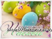 Піноккіо, ресторан фото