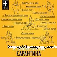 Excalibur, BTL-агентство фото