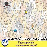 Feelin, центр інтелектуального розвитку фото