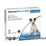 Бегемот, зоодім фото