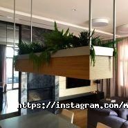 Le Green, студія ландшафтного дизайну фото