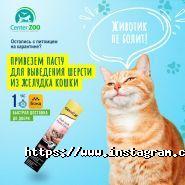 Center Zoo, мережа зоомагазинів фото
