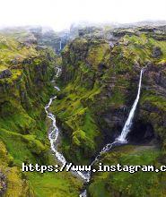 Мед, туристична компанія фото