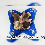 Golden 5, івент-агентство фото