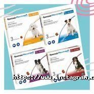 Бегемот, зоодім фото