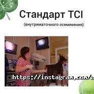 Zоолюкс, ветеринарна клініка Zоолюкс, ветеринарна клініка фото