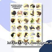 Gts agency, веб-студія фото