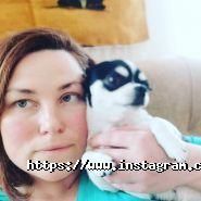 Chihomaniay, монопородний розплідник чихуахуа фото