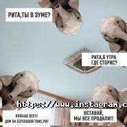 Slon, мережа агентств нерухомості фото