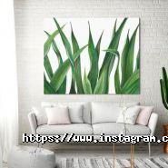 FotoSvit, поліграфічна компанія фото