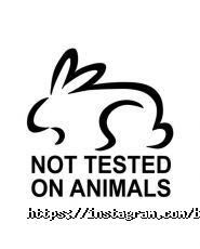 Barkery, кав'ярня фото