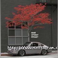 Exist.Ua, магазин автозапчастин та автоаксесуарів фото