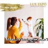 Lux-Expo, ивент-компания фото