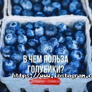 Феромон, фітнес-клуб фото