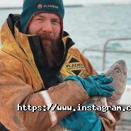 Seadora, сервіс доставки риби і морепродуктів фото