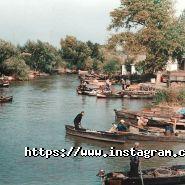 Seadora, сервіс доставки риби і морепродуктів фото