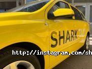 Shark taxi, мобільний додаток фото