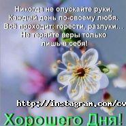 Цветландія, магазин квітів фото