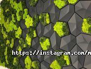 Le Green, студія ландшафтного дизайну фото