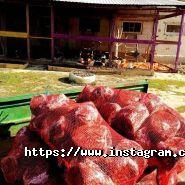 Happy Paw, вирішуємо проблему бездомних тварин фото